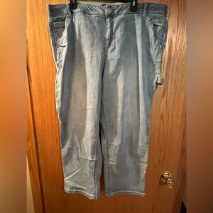 Democracy carpenter jeans. Size 22W. Worn once.